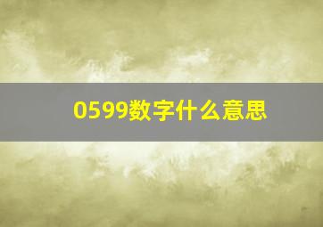 0599数字什么意思