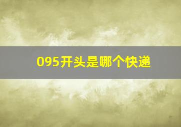 095开头是哪个快递