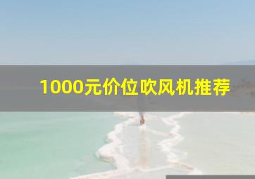 1000元价位吹风机推荐