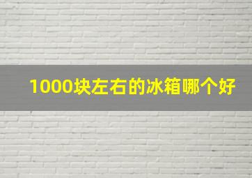 1000块左右的冰箱哪个好