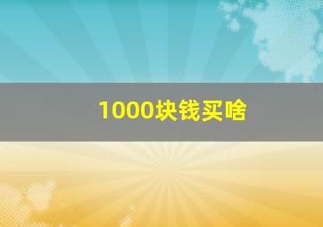 1000块钱买啥