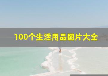 100个生活用品图片大全