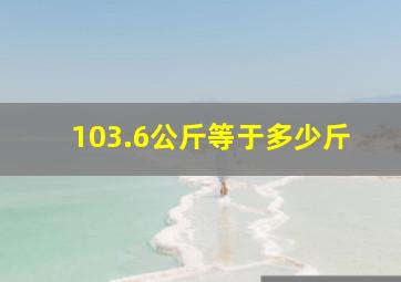 103.6公斤等于多少斤