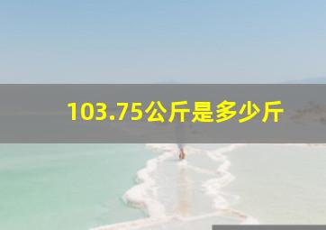 103.75公斤是多少斤