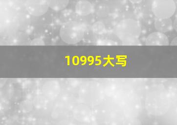 10995大写