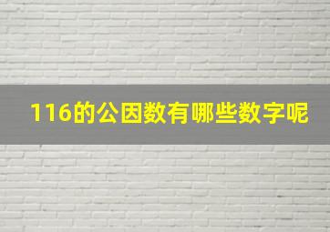 116的公因数有哪些数字呢