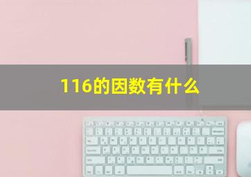 116的因数有什么