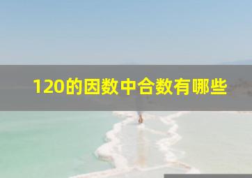 120的因数中合数有哪些