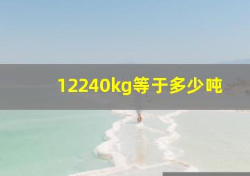 12240kg等于多少吨