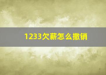 1233欠薪怎么撤销