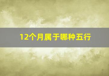 12个月属于哪种五行