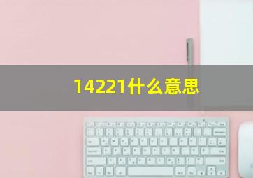 14221什么意思