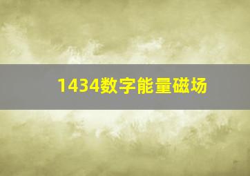 1434数字能量磁场