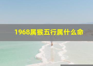 1968属猴五行属什么命