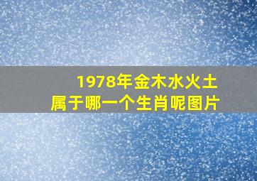 1978年金木水火土属于哪一个生肖呢图片