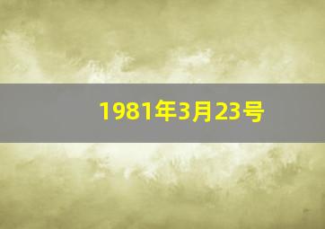 1981年3月23号