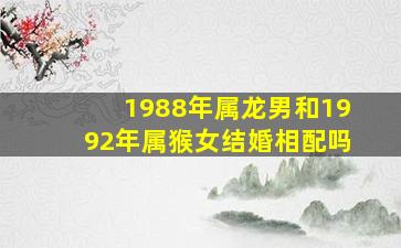 1988年属龙男和1992年属猴女结婚相配吗