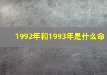 1992年和1993年是什么命