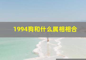 1994狗和什么属相相合