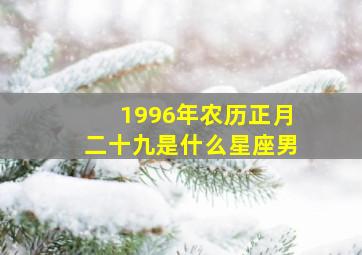 1996年农历正月二十九是什么星座男