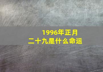 1996年正月二十九是什么命运