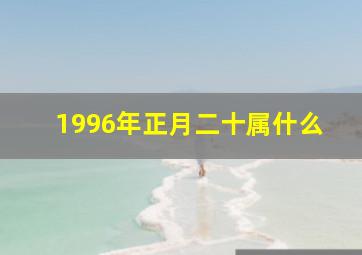 1996年正月二十属什么