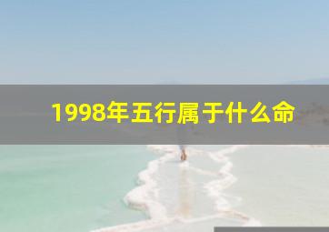 1998年五行属于什么命