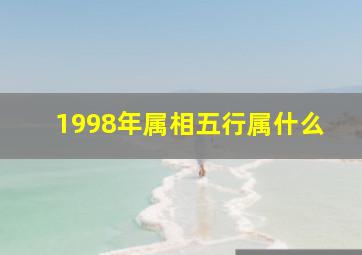 1998年属相五行属什么