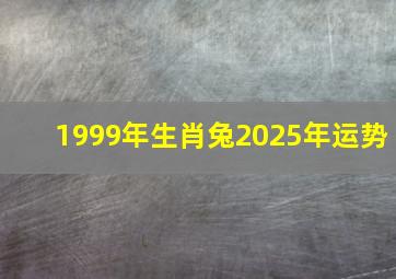 1999年生肖兔2025年运势