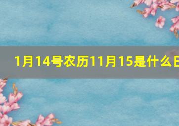 1月14号农历11月15是什么日