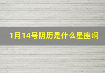 1月14号阴历是什么星座啊