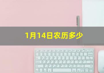 1月14日农历多少