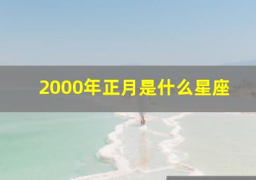 2000年正月是什么星座