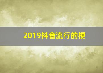 2019抖音流行的梗