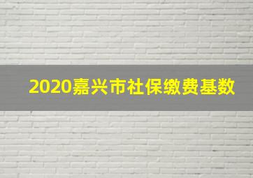 2020嘉兴市社保缴费基数