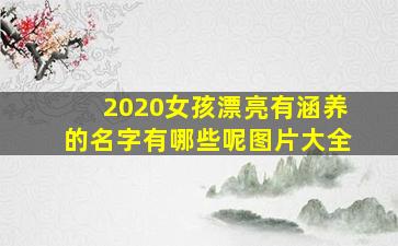 2020女孩漂亮有涵养的名字有哪些呢图片大全