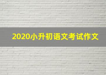 2020小升初语文考试作文