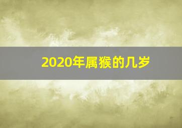 2020年属猴的几岁