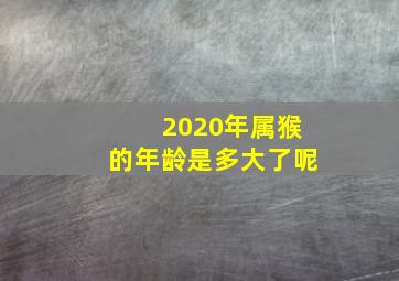 2020年属猴的年龄是多大了呢