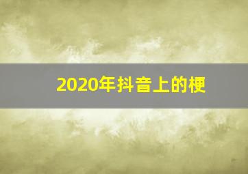 2020年抖音上的梗