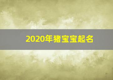 2020年猪宝宝起名