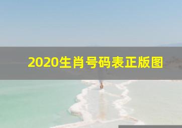 2020生肖号码表正版图