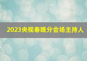 2023央视春晚分会场主持人