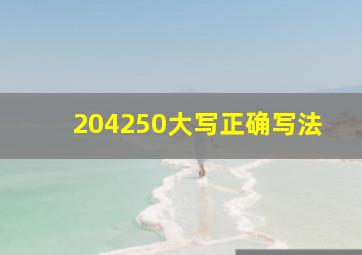 204250大写正确写法