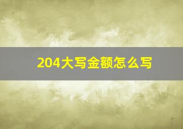 204大写金额怎么写