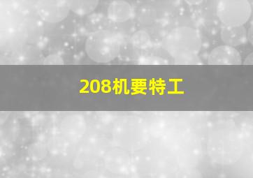 208机要特工