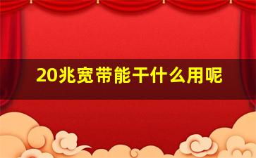 20兆宽带能干什么用呢