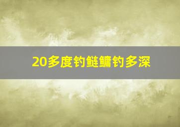 20多度钓鲢鳙钓多深