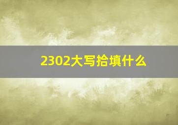 2302大写拾填什么