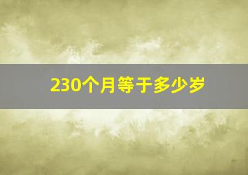 230个月等于多少岁